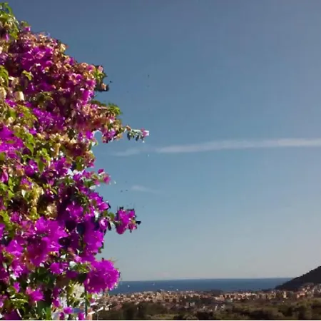 Il Pittore Di Stelle Отель типа 